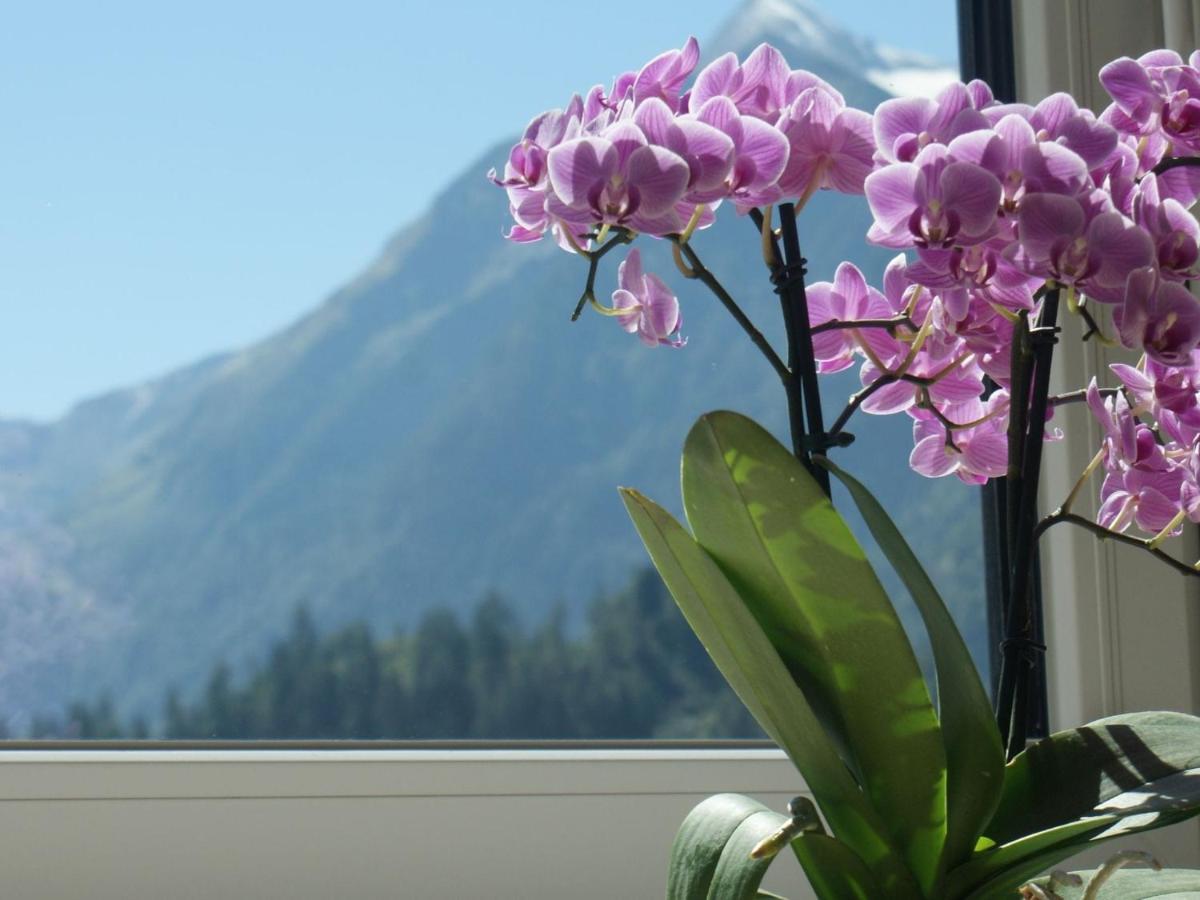Apartment With Terrace In Kaprun Salzburg Extérieur photo